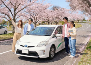 桜並木と教習車